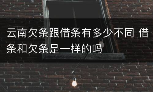 云南欠条跟借条有多少不同 借条和欠条是一样的吗