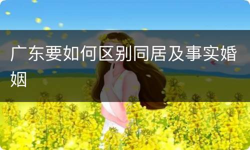 广东要如何区别同居及事实婚姻