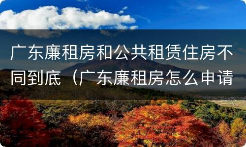 广东廉租房和公共租赁住房不同到底（广东廉租房怎么申请流程）