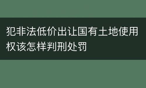 犯非法低价出让国有土地使用权该怎样判刑处罚