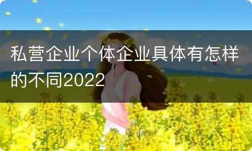 私营企业个体企业具体有怎样的不同2022