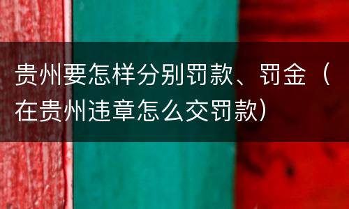 贵州要怎样分别罚款、罚金（在贵州违章怎么交罚款）