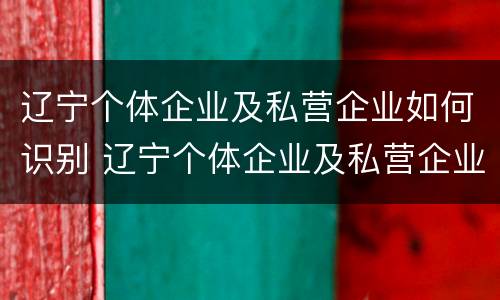 辽宁个体企业及私营企业如何识别 辽宁个体企业及私营企业如何识别真假