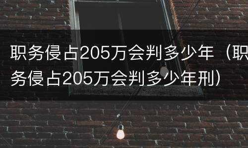 职务侵占205万会判多少年（职务侵占205万会判多少年刑）