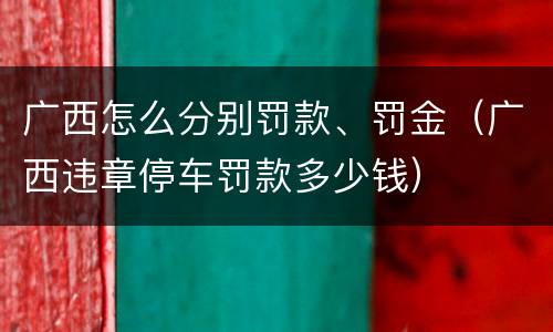 广西怎么分别罚款、罚金（广西违章停车罚款多少钱）