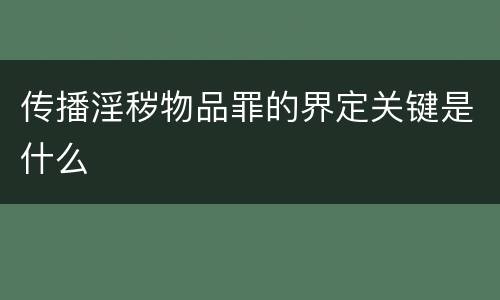 传播淫秽物品罪的界定关键是什么