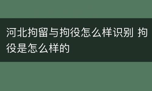 河北拘留与拘役怎么样识别 拘役是怎么样的