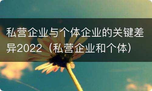 私营企业与个体企业的关键差异2022（私营企业和个体）