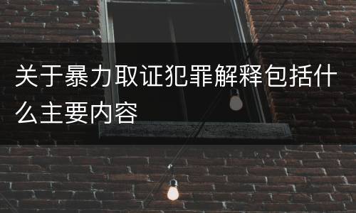 关于暴力取证犯罪解释包括什么主要内容