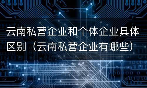 云南私营企业和个体企业具体区别（云南私营企业有哪些）