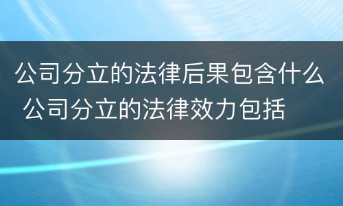 公司分立的法律后果包含什么 公司分立的法律效力包括