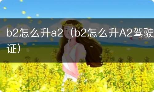 b2怎么升a2（b2怎么升A2驾驶证）