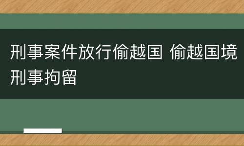 刑事案件放行偷越国 偷越国境刑事拘留