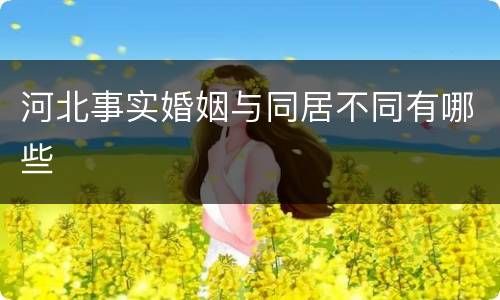 河北事实婚姻与同居不同有哪些