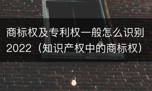 商标权及专利权一般怎么识别2022（知识产权中的商标权）