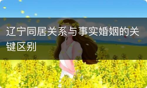 辽宁同居关系与事实婚姻的关键区别