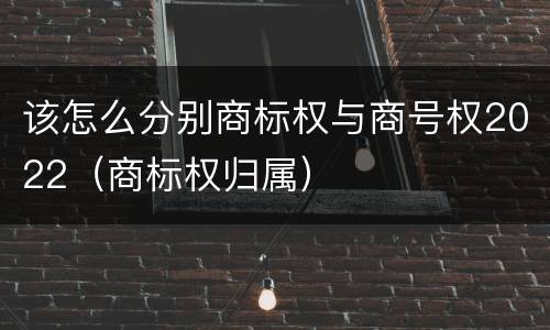 该怎么分别商标权与商号权2022（商标权归属）