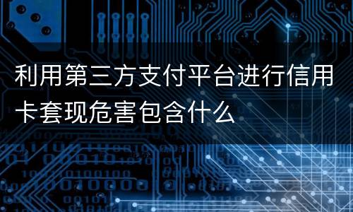 利用第三方支付平台进行信用卡套现危害包含什么