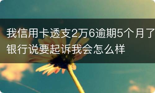 我信用卡透支2万6逾期5个月了银行说要起诉我会怎么样