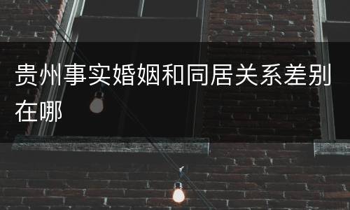 贵州事实婚姻和同居关系差别在哪