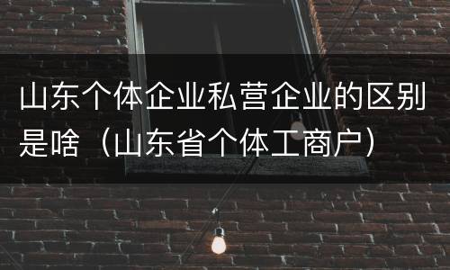 山东个体企业私营企业的区别是啥（山东省个体工商户）