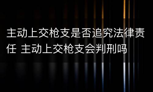 主动上交枪支是否追究法律责任 主动上交枪支会判刑吗