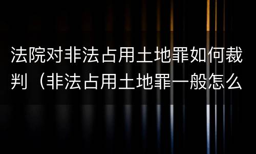 法院对非法占用土地罪如何裁判（非法占用土地罪一般怎么判决）