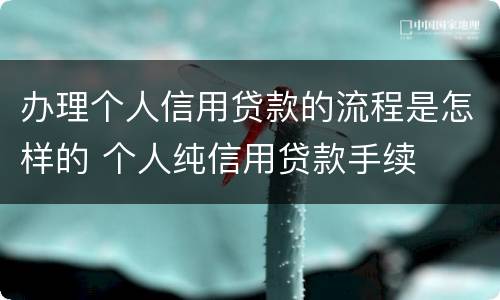 办理个人信用贷款的流程是怎样的 个人纯信用贷款手续