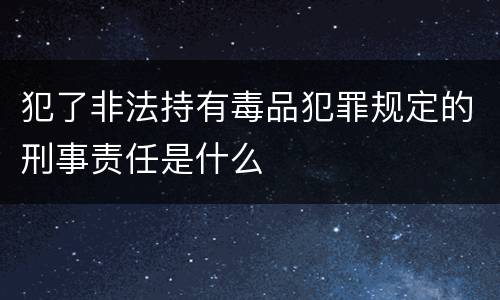 犯了非法持有毒品犯罪规定的刑事责任是什么