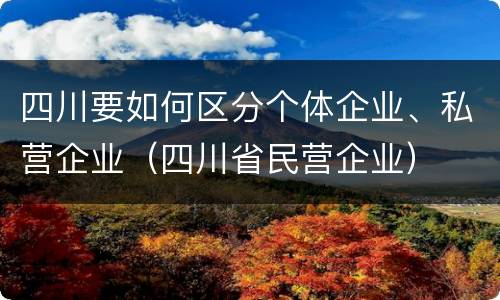 四川要如何区分个体企业、私营企业（四川省民营企业）