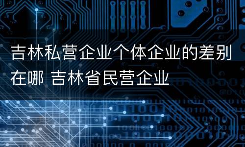 吉林私营企业个体企业的差别在哪 吉林省民营企业