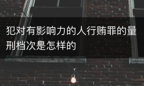 犯对有影响力的人行贿罪的量刑档次是怎样的