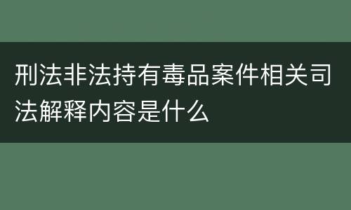 刑法非法持有毒品案件相关司法解释内容是什么