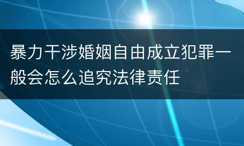 暴力干涉婚姻自由成立犯罪一般会怎么追究法律责任