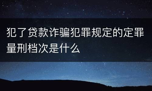 犯了贷款诈骗犯罪规定的定罪量刑档次是什么