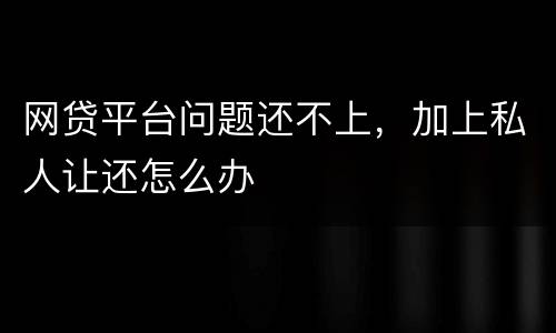 网贷平台问题还不上，加上私人让还怎么办