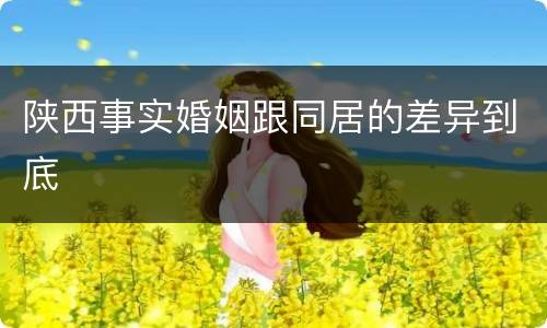 陕西事实婚姻跟同居的差异到底