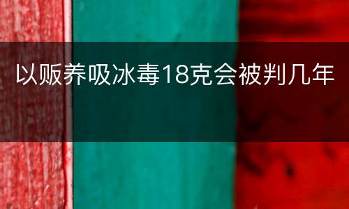 以贩养吸冰毒18克会被判几年