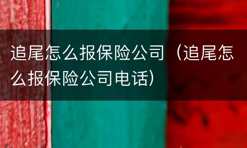 追尾怎么报保险公司（追尾怎么报保险公司电话）