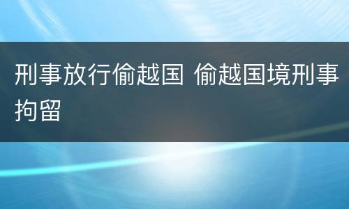 刑事放行偷越国 偷越国境刑事拘留