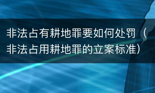 非法占有耕地罪要如何处罚（非法占用耕地罪的立案标准）