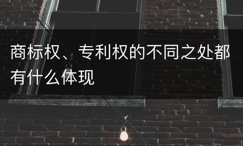 商标权、专利权的不同之处都有什么体现