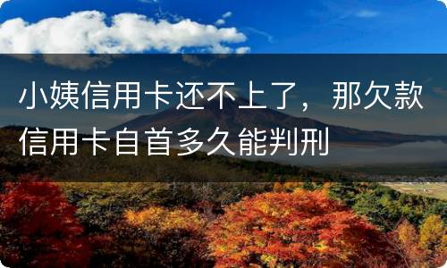 小姨信用卡还不上了，那欠款信用卡自首多久能判刑