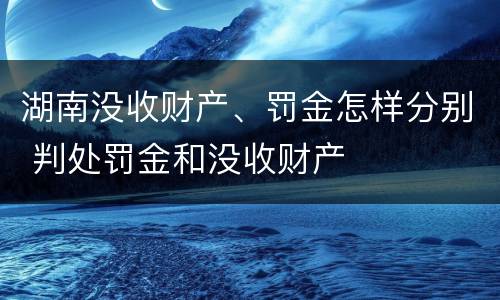 湖南没收财产、罚金怎样分别 判处罚金和没收财产