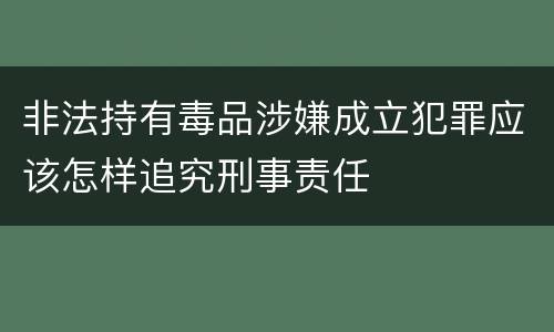 非法持有毒品涉嫌成立犯罪应该怎样追究刑事责任