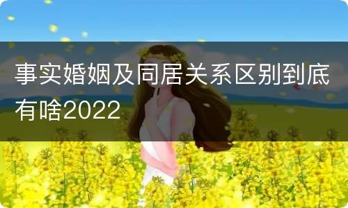 事实婚姻及同居关系区别到底有啥2022