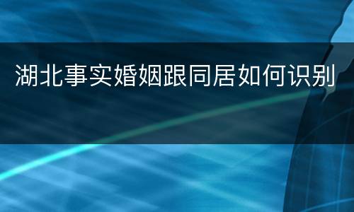 湖北事实婚姻跟同居如何识别