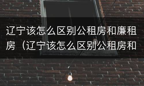 辽宁该怎么区别公租房和廉租房（辽宁该怎么区别公租房和廉租房呢）