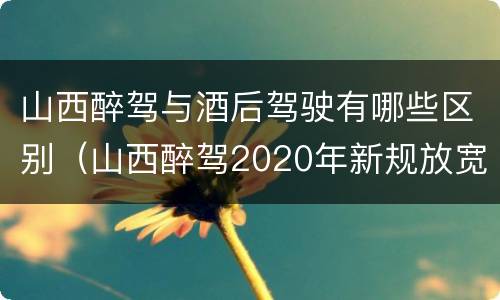 山西醉驾与酒后驾驶有哪些区别（山西醉驾2020年新规放宽）