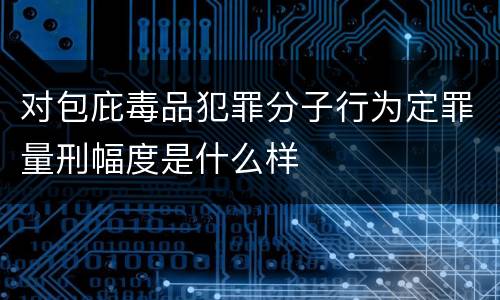 对包庇毒品犯罪分子行为定罪量刑幅度是什么样